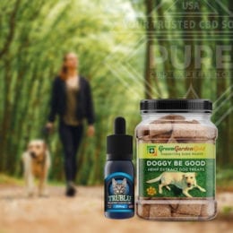 CBD for Pets