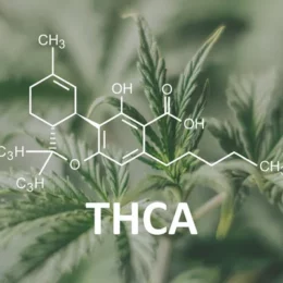 Premium THCA Products: Vape Carts, Flowers, Edibles & More